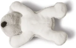 Nici 40504 MagNici Koala Kaola 12cm Plüsch Magnettier 7 Nici 40504 MagNici Koala Kaola 12cm Plüsch Magnettier -Nici 80b6d7eed3266c51080a6d042f68f481