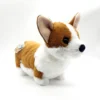 Nici 90710 Hund Corgi Braun-weiß Ca 30cm Plüsch Kuscheltier Taiwan Limited -Nici d1805a99c653c6370a476d8fd735e858